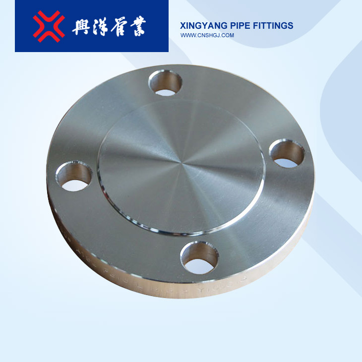 不銹鋼法蘭蓋(F304/F304L)